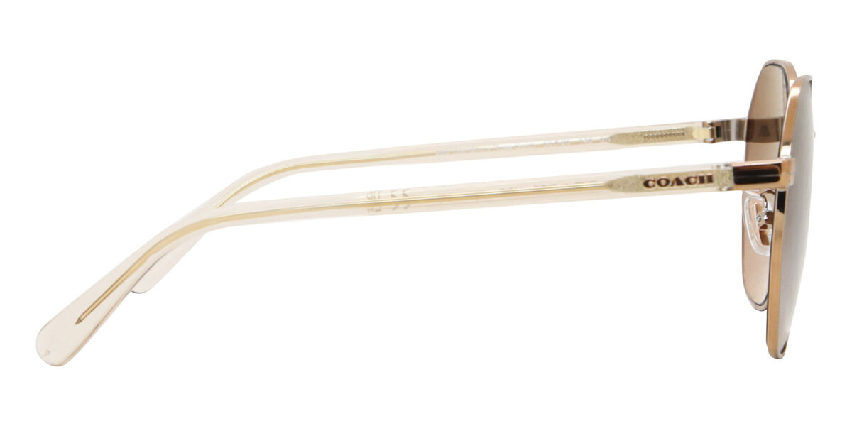 HC7147 CH556 Asian Fit サングラス Rose Gold | SmartBuyGlasses JP