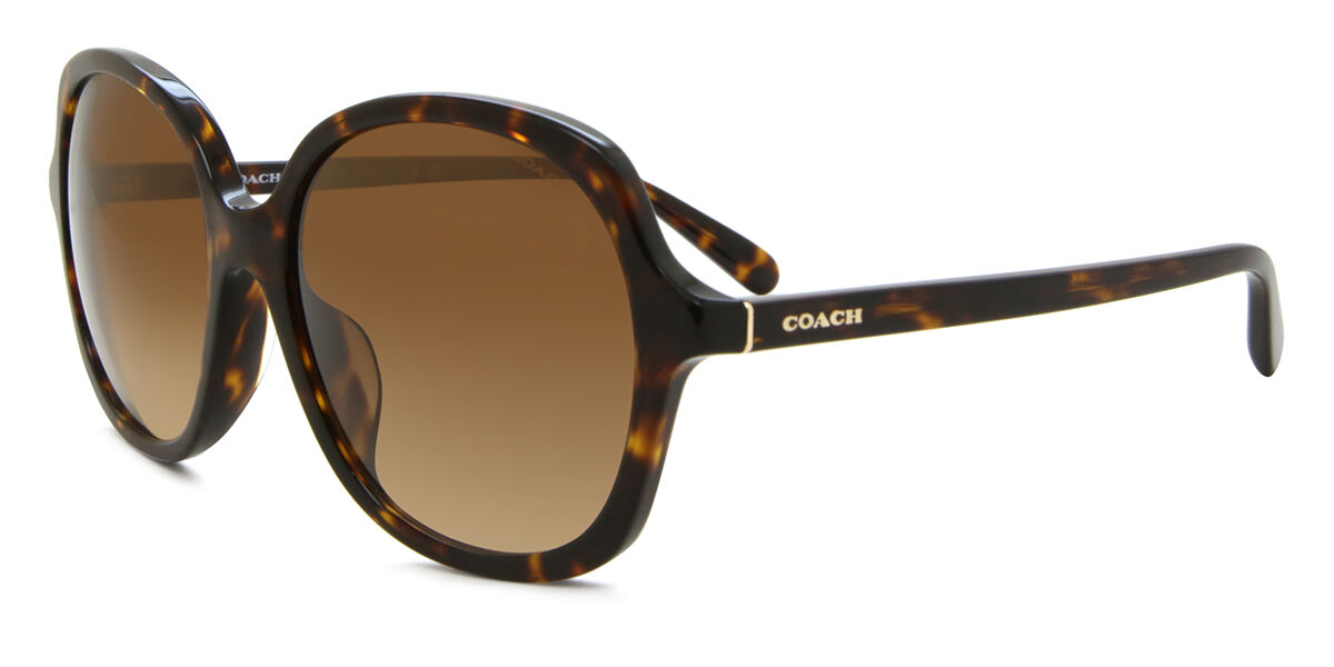 【送料,関税込】 COACHサングラス CH557 HC8360U HC8360U CH557 Asian Fit sunglasses Transparent Faded Blue