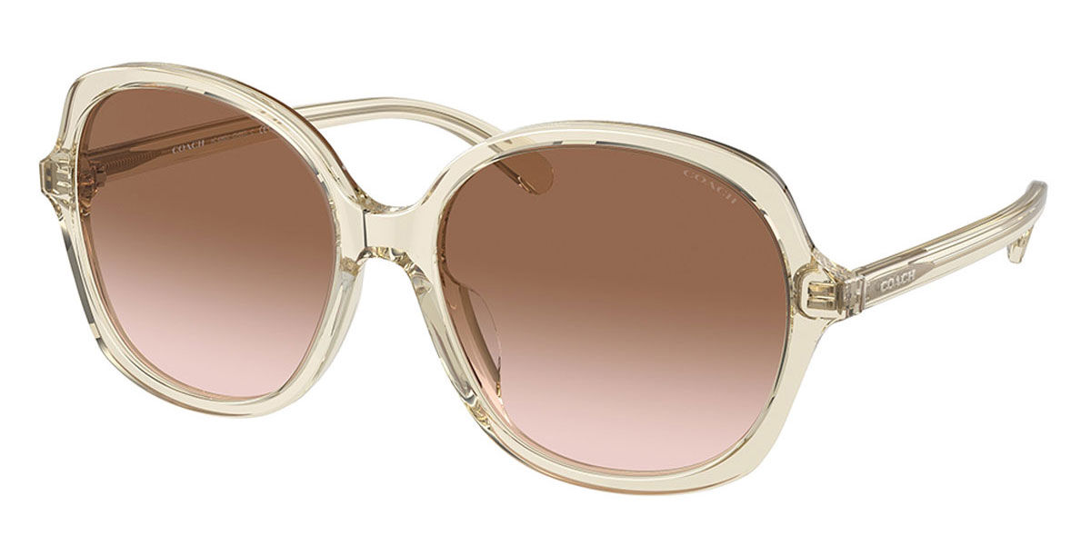 Coach asian fit clearance sunglasses