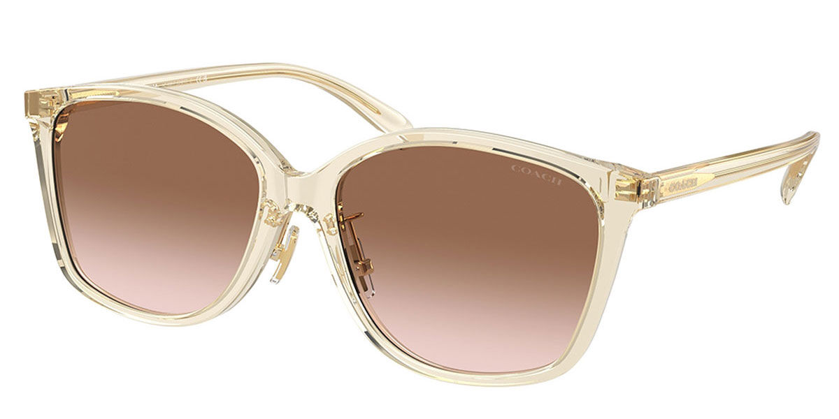 COACH HC 8361F ICH6177 サングラス HC8361F CH617 Asian Fit サングラス Transparent Pink