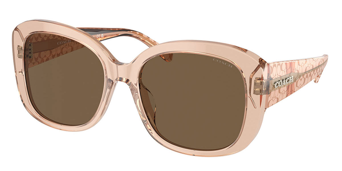 Coach Sunglasses model 8276 | Eyeglassframes4Less.com