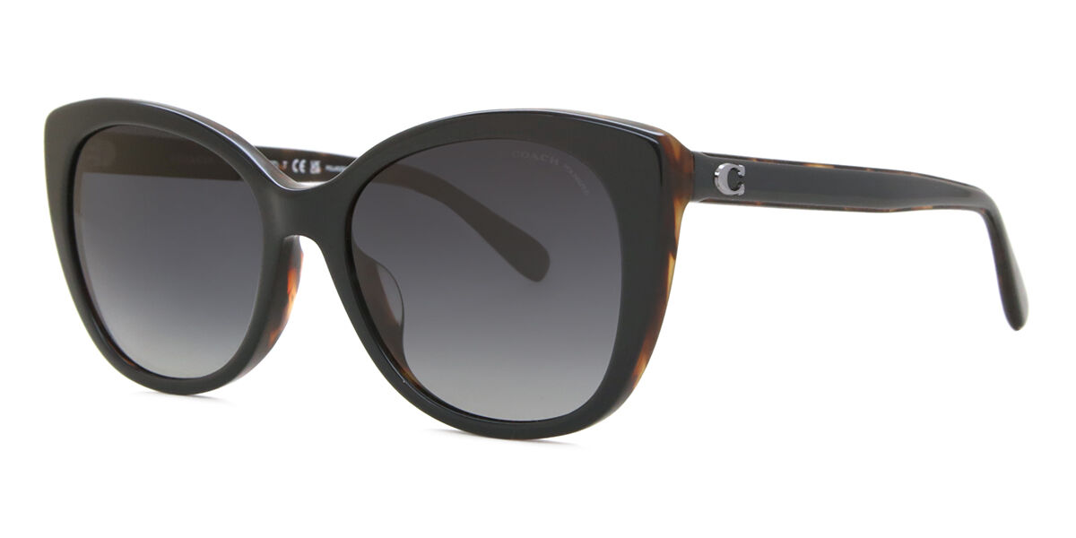 HC8365U CH566 Asian Fit Polarized サングラス Black on