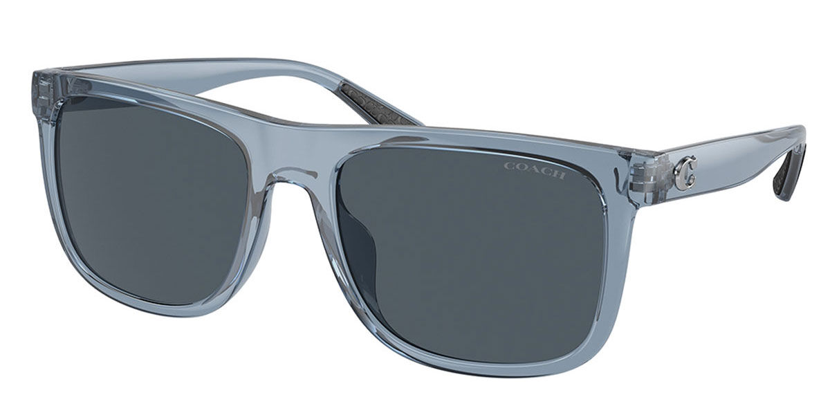 【送料,関税込】 COACH サングラス CH581 HC8367U Coach Sunglasses HC8367U Ch581 500287 - Best Price and