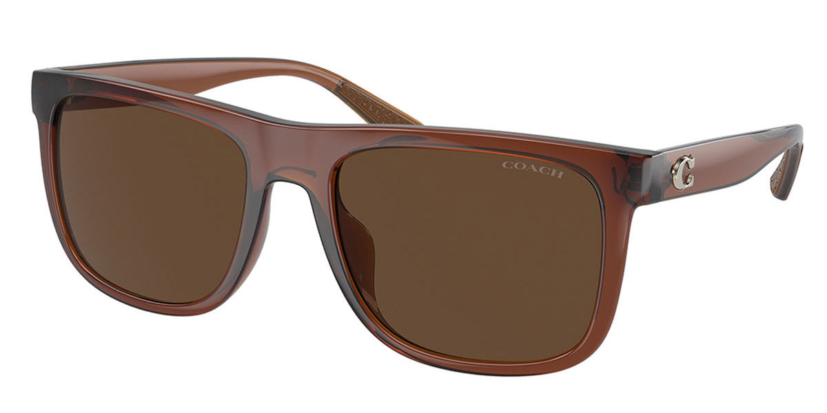 【送料,関税込】 COACH サングラス CH581 HC8367U Coach Sunglasses HC8367U Ch581 500287 - Best Price and