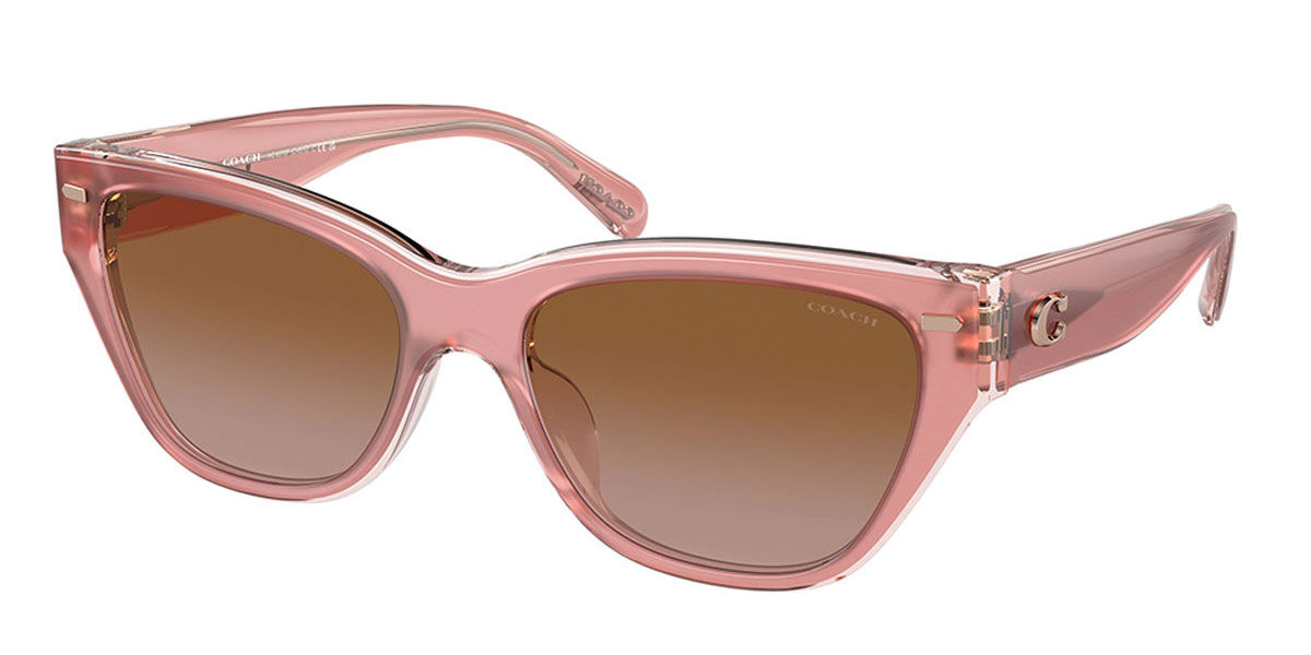 Dakota Mist Polarized Sunglasses - Pink Shield Lens & Grey Cat Eye Frame