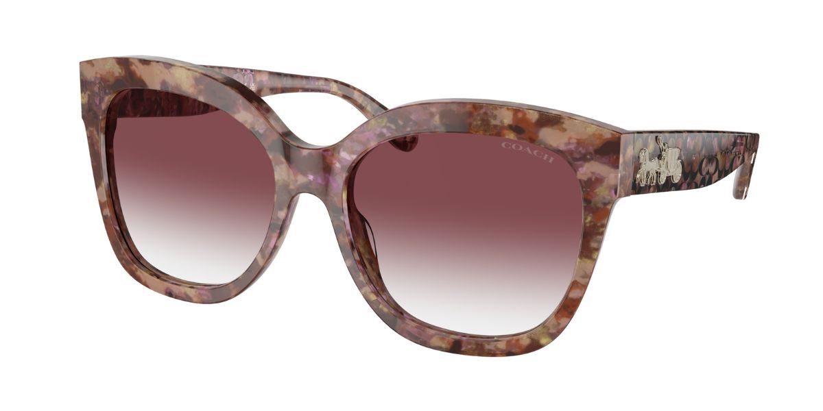 Coach HC8264 L1083 57398H Sunglasses in Petal Tortoise ...