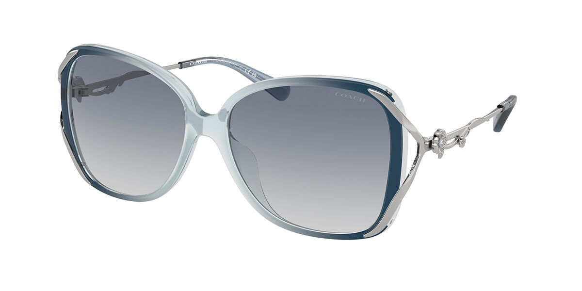 Buy Coach Women HC8160 Sunglasses Online at desertcartINDIA