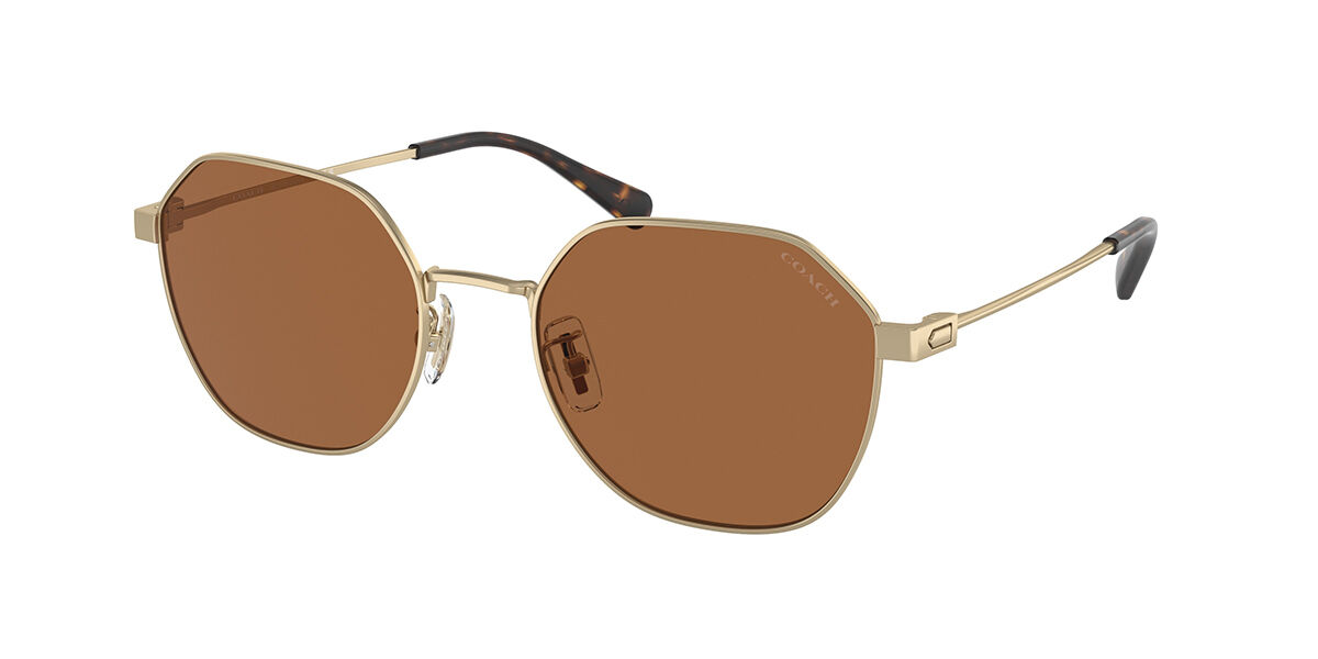 HC7155 CL915 sunglasses Ancient Gold | SmartBuyGlasses US