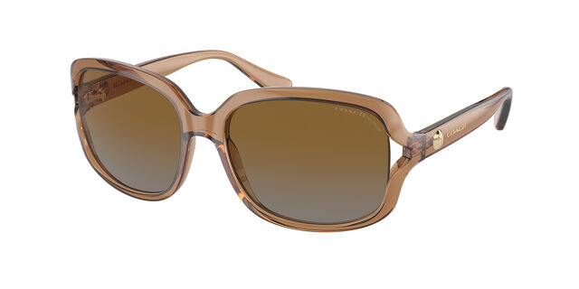 Coach HC8169 L149 Polarized 5561T5 Square Transparent Brown  display picture 2