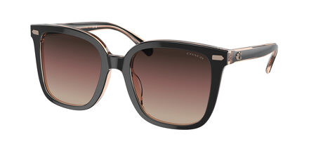 Coach HC8381U CL918 Sunglasses