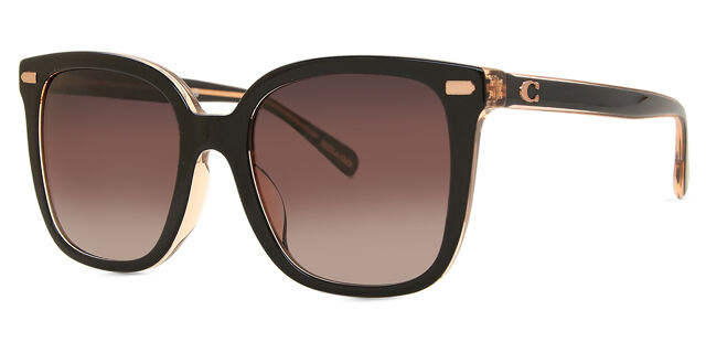 Coach HC8381U CL918 5781E2 Square Black on Transparent  display picture 1