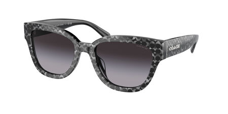 Coach HC8379F CL921 Asian Fit Sunglasses