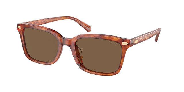 Coach Brown Tortoise Sunglasses with Case Womens Coach Sunglasses Tortoise, Anna S 439, With Case ,No  main image 3
