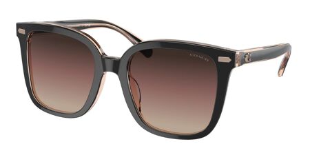 Coach HC8381F CL919 Asian Fit Sunglasses