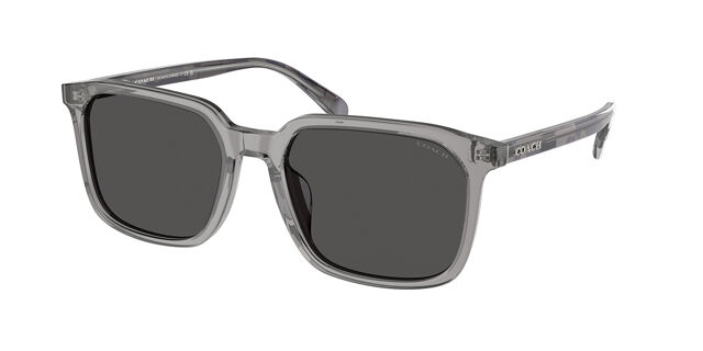 Coach HC8411U CW405 584987 Square Transparent Grey  display picture 2