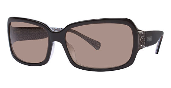 coach amelia sunglasses