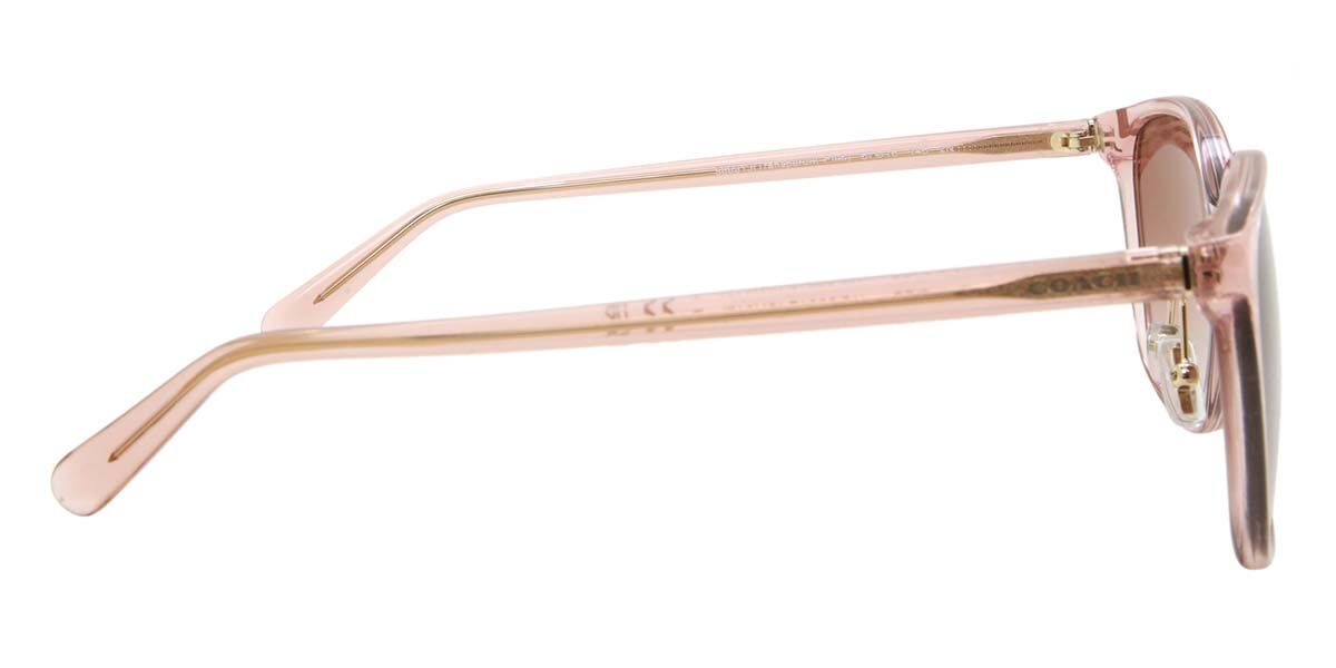 HC8361F CH617 Asian Fit サングラス Transparent Pink