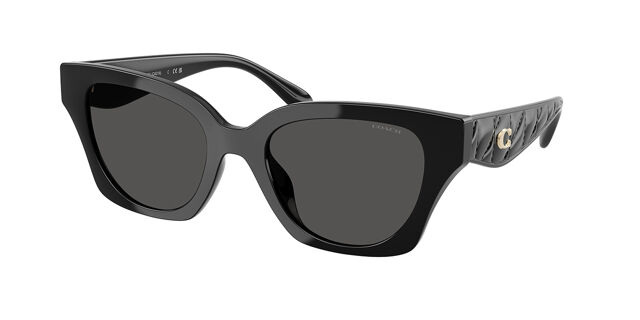 Coach HC8418U CAD18 500287 Cat Eye Black Sunglasses  display picture 2