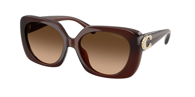 Brown Coach classic look sunglasses Brown Coach classic look sunglasses main image 3