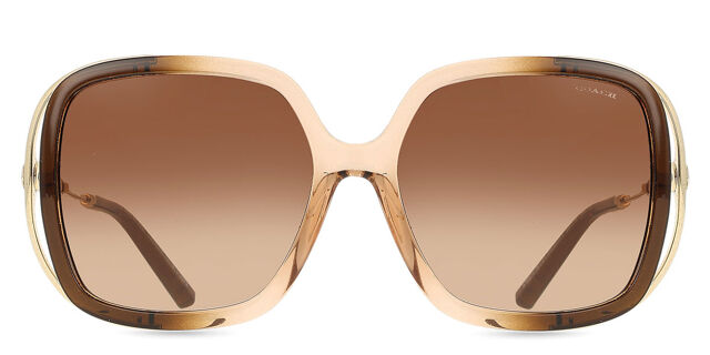 Coach HC8423U CAD80 576974 Square Gradient Brown Sunglasses 