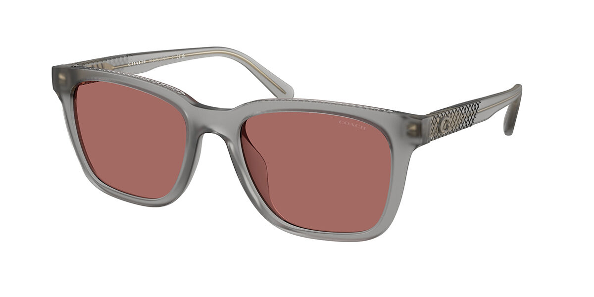 グレー Coach サングラス | 正規品保障SmartBuyGlassesジャパン！
