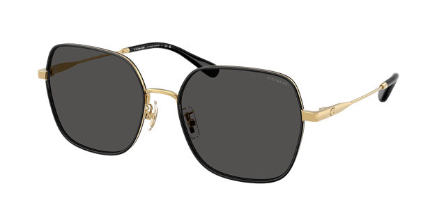 Coach Gold and Black Sunglasses Coach CH556 HC7147 9005/8G Sunglasses - US main image 3