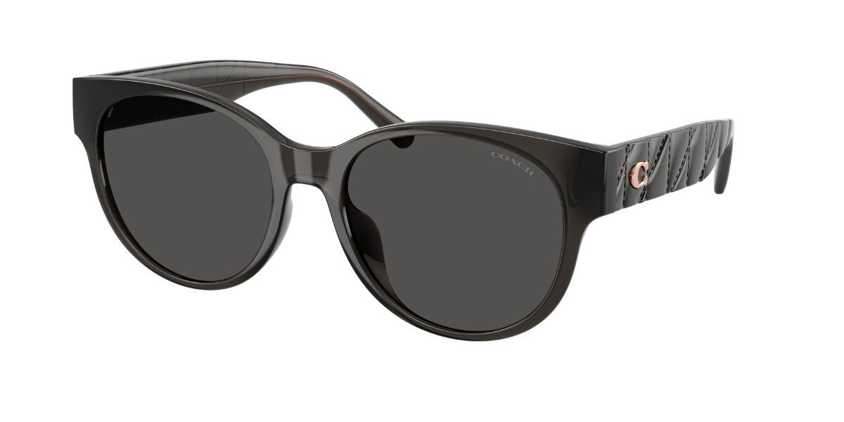 COACH サングラス グレー グレー Coach サングラス | 正規品保障SmartBuyGlassesジャパン！