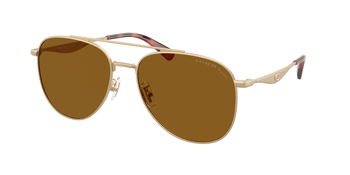 Coach HC7190 CDP40 Polarized 900583 58 Guldiga Solglas&ouml;gon M&auml;n