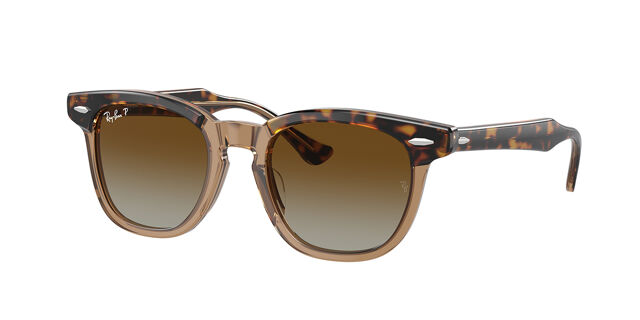 RJ9098SF Asian Fit Polarized