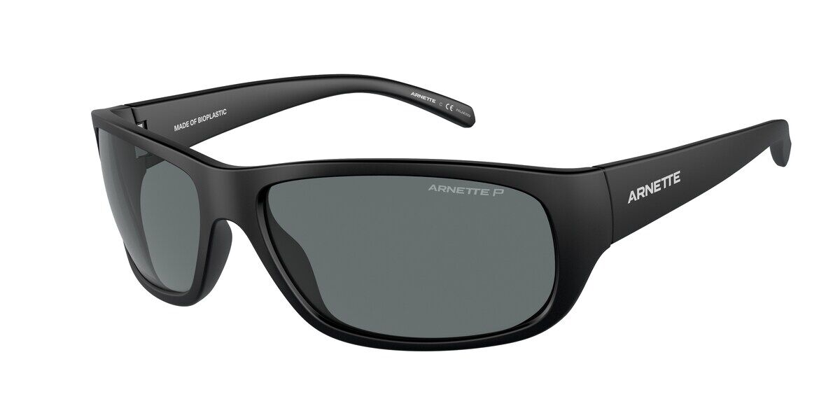 AN4290 Polarized 275881 Sunglasses Matte Black VisionDirect
