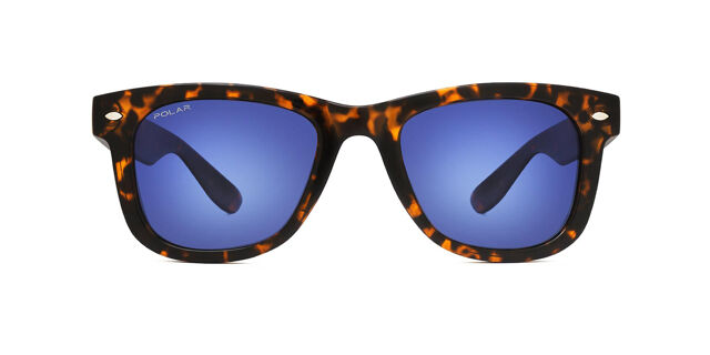 Polar MISTRAL 428N Square Shiny Havana Sunglasses  display picture 3