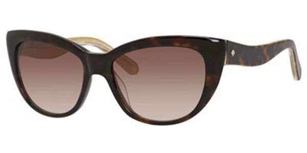 costa corbina sunglasses