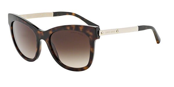 Giorgio Armani Sunglasses AR8011 502613