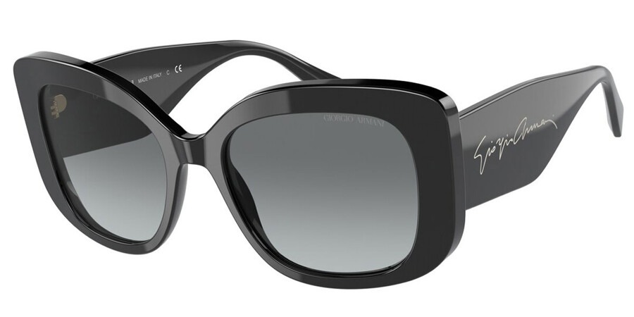 Giorgio Armani AR8150 500111 Sunglasses Black | SmartBuyGlasses India