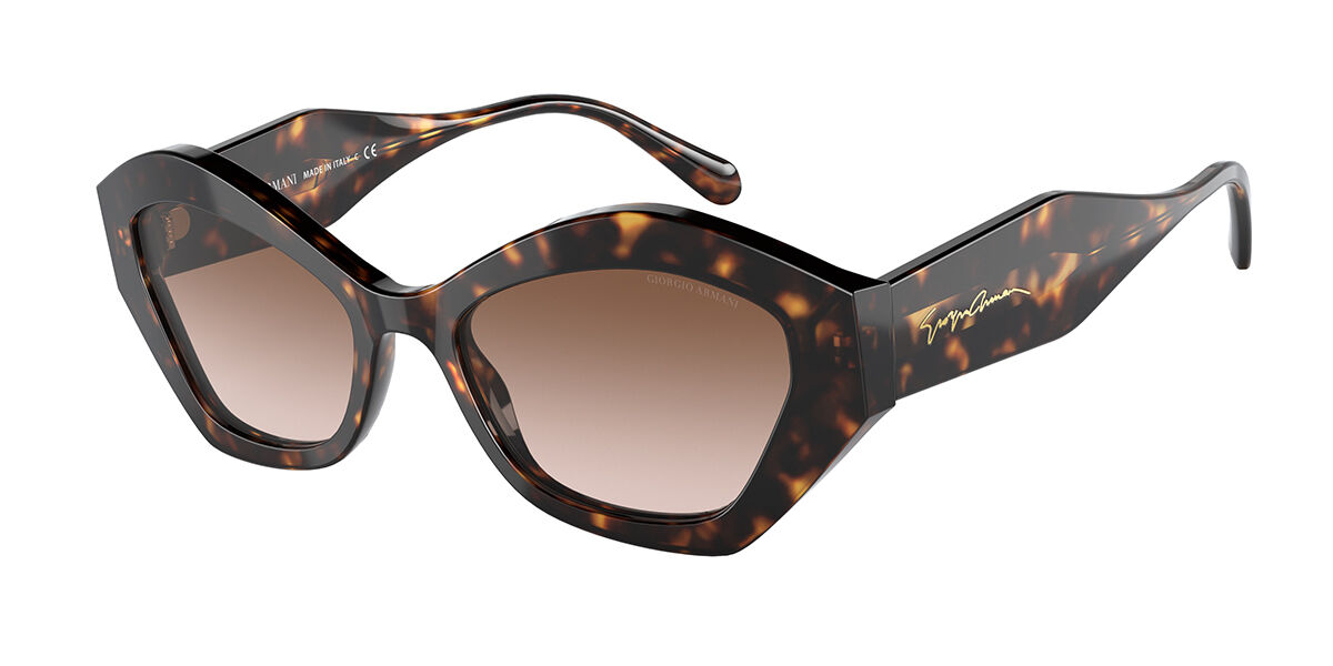 Giorgio Armani Sunglasses AR8144 502613