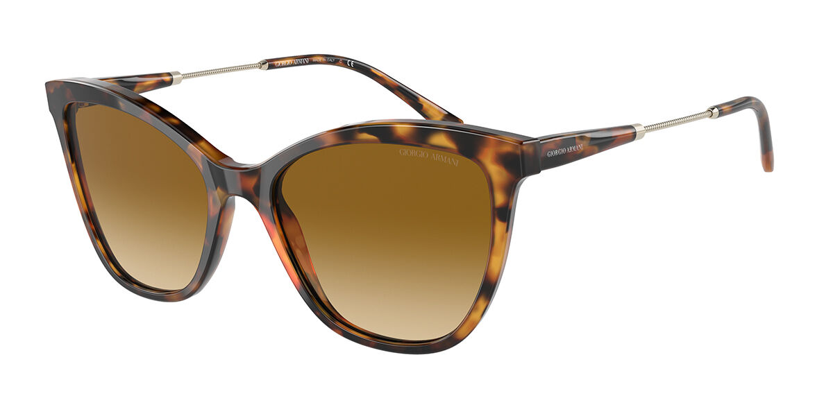 Giorgio Armani Sunglasses AR8157 59162L