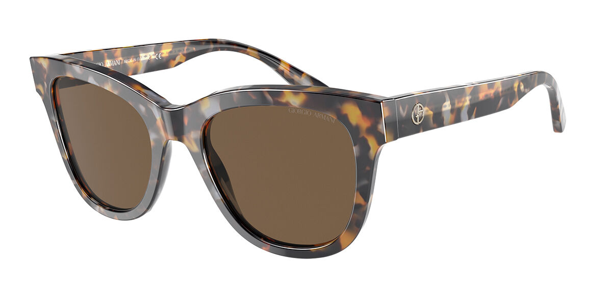 Giorgio Armani Sunglasses AR8165 592473
