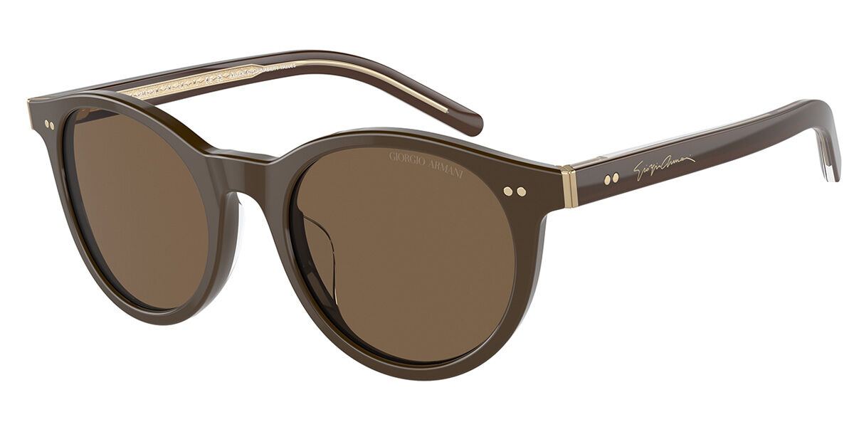 Giorgio Armani AR8199U 604073 Sunglasses Brown | SmartBuyGlasses India