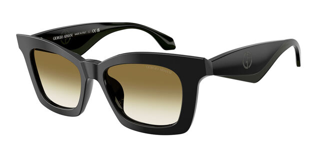 Giorgio Armani AR8235U 50018E Cat Eye Black Sunglasses  display picture 1