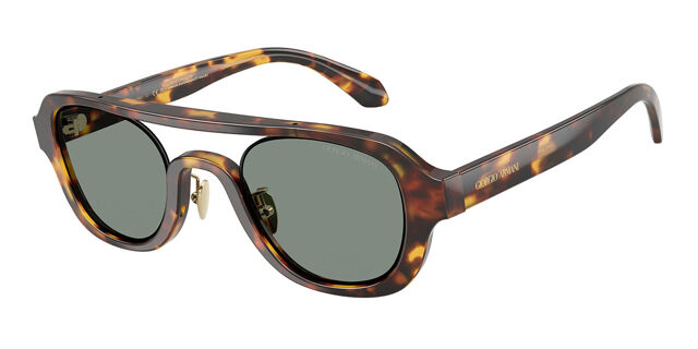 Giorgio Armani Brown Tortoise Sunglasses Giorgio Armani AR8194U Tortoise, Brown Prescription Sunglasses main image 2