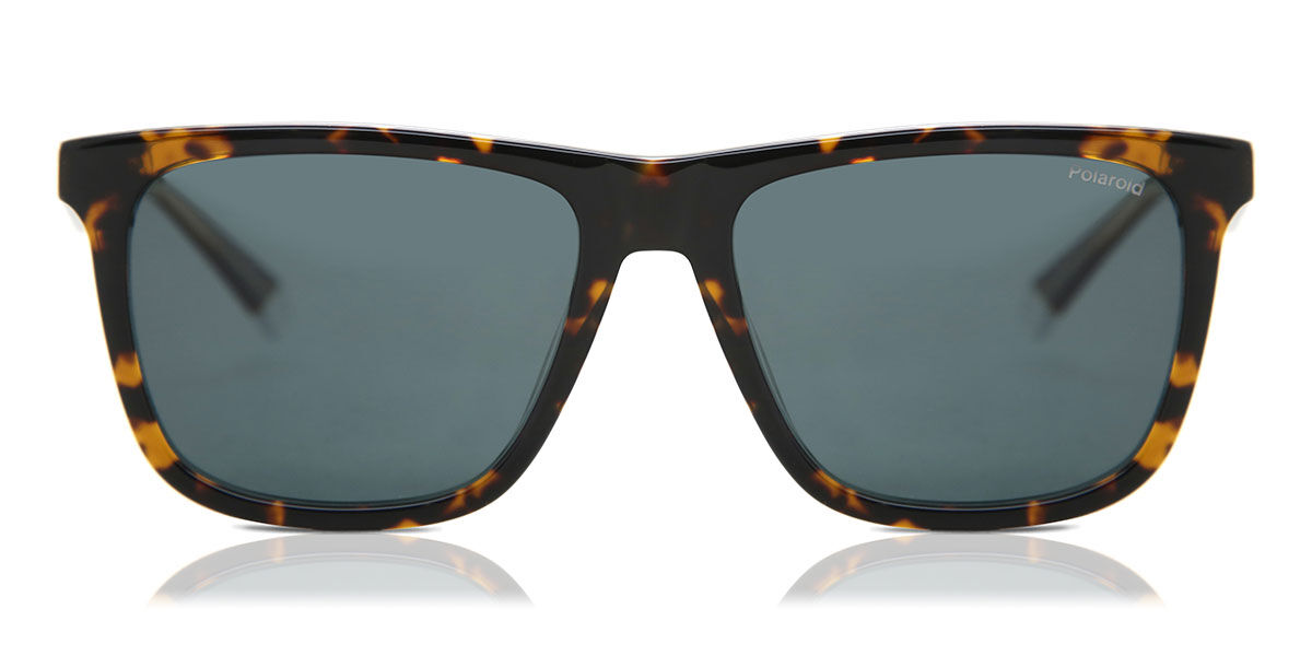 PLD 2102/S/X Polarized Sunglasses Dark Havana