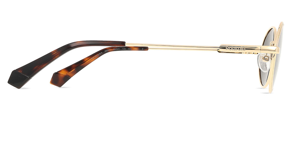 PLD 6228/S/X Polarized サングラス Rose Gold | SmartBuyGlasses JP