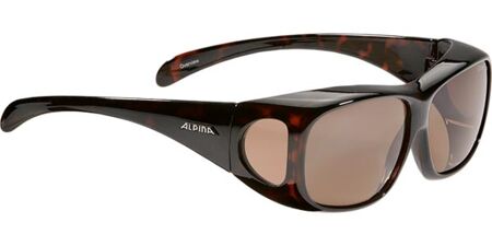 Alpina Overview