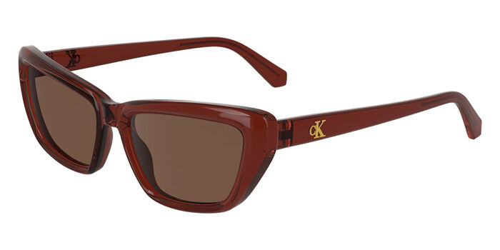 Calvin Klein Jeans CKJ24623S 001 Cat Eye Black Sunglasses  display picture 2