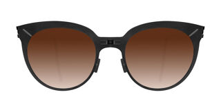 8110 Barbra Folding Black Polarized Sunglasses Matte Black