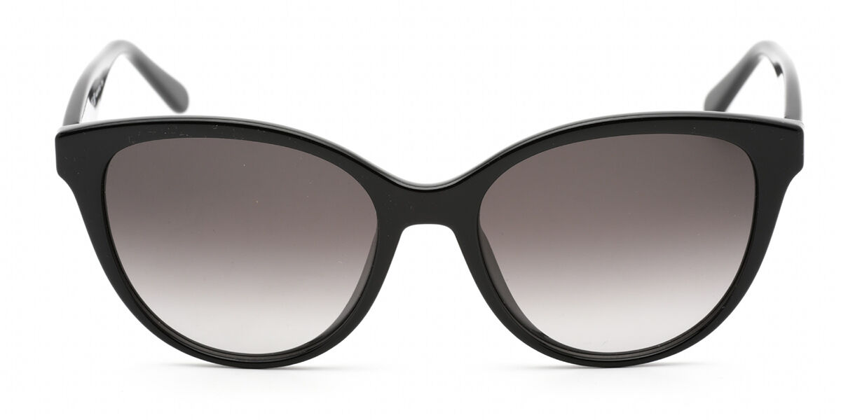 UPC 886895558914 product image for Salvatore Ferragamo SF 1073S 001 Women’s Sunglasses Black Size 54 | upcitemdb.com