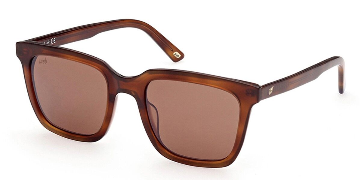 Gafas de Sol Web WE 0309 53G