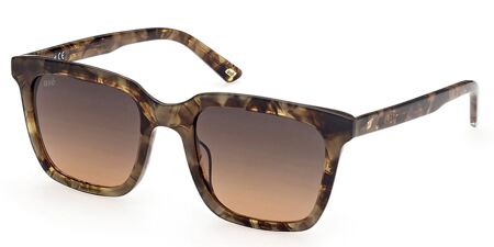 Web WE0309 Sunglasses