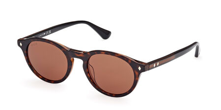 Web WE0337 Sunglasses