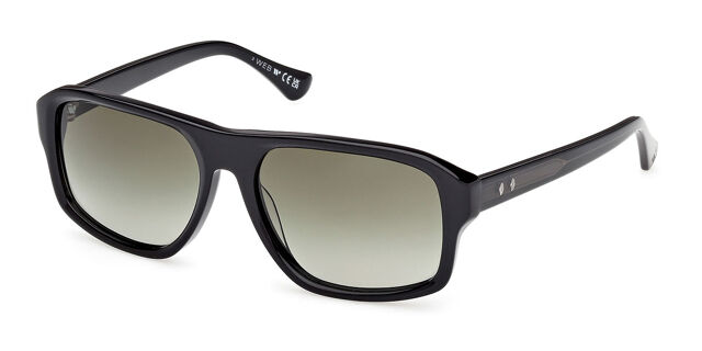 Web Eyewear WE0393 01P Square Shiny Black Sunglasses  display picture 1